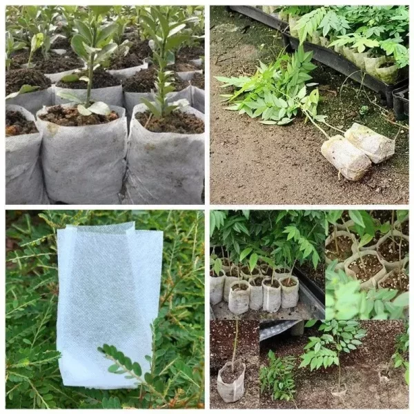 Biodegradable Plant Grow Bags – Non-Woven Seedling Nursery Pots (25/50/100pcs) - Image 4