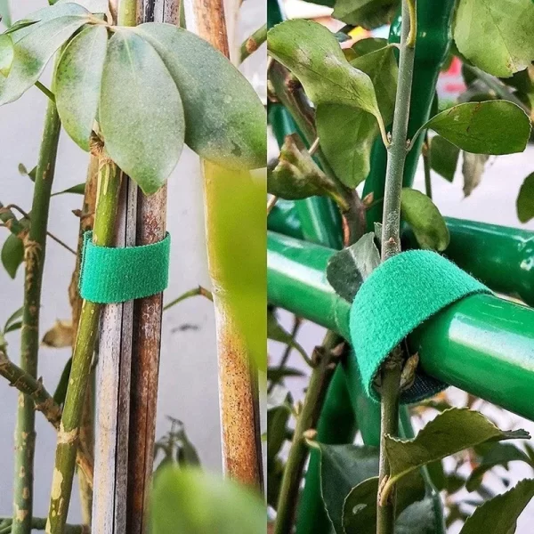 Reusable Nylon Plant Ties – Adjustable Garden Hook & Loop Fasteners - Image 4
