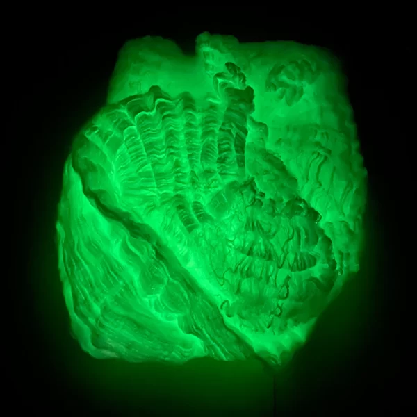 Glow-in-the-Dark Halloween Spider Webs – Fluorescent Cobweb Decorations - Image 6