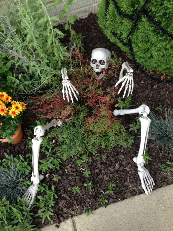 Halloween Skeleton Stakes – Realistic Skull & Hand Garden Decorations - Image 2