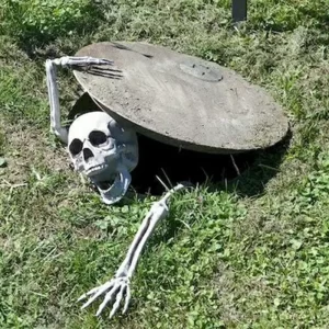 Skeleton Skull and Arms